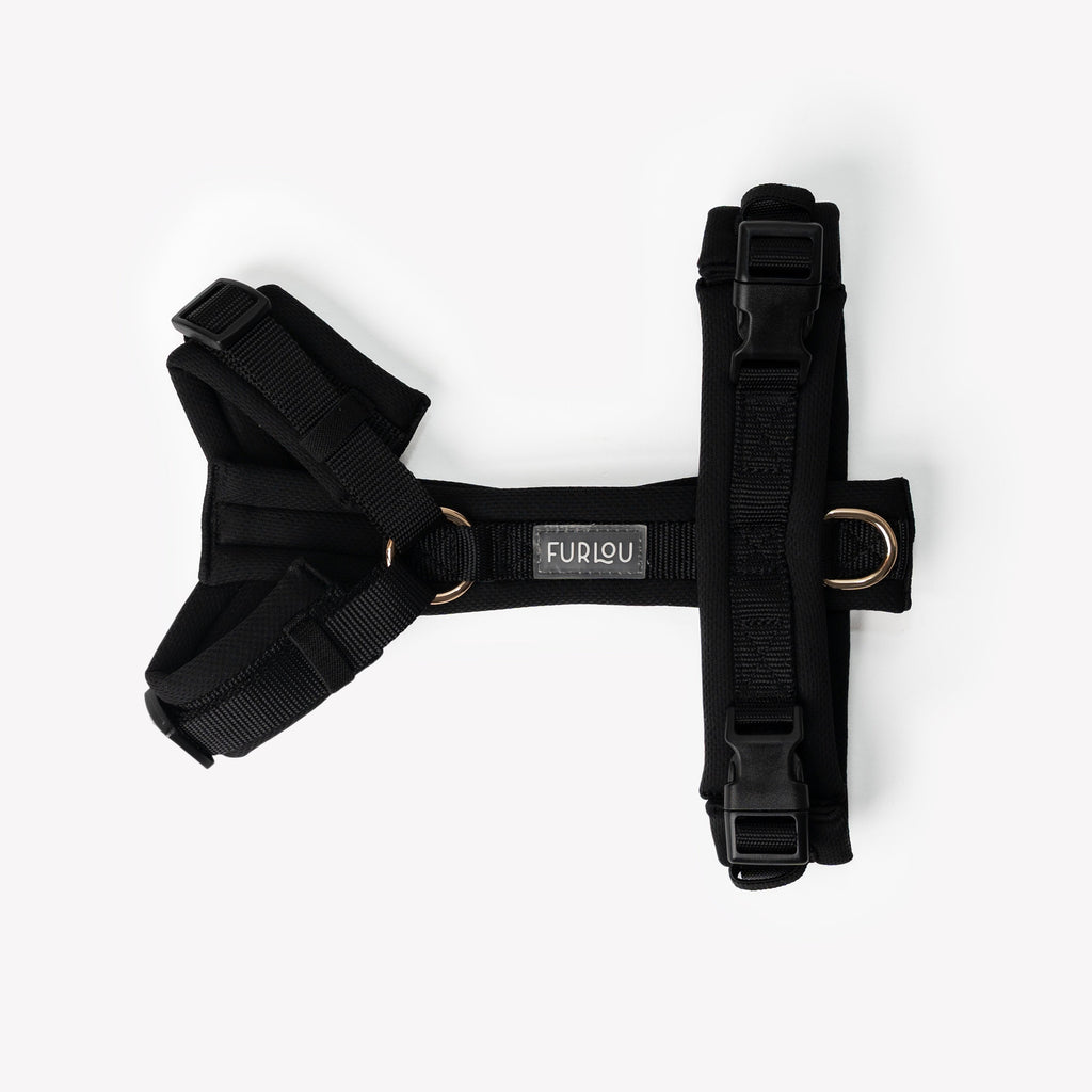 The Shoreline Harness · Onyx