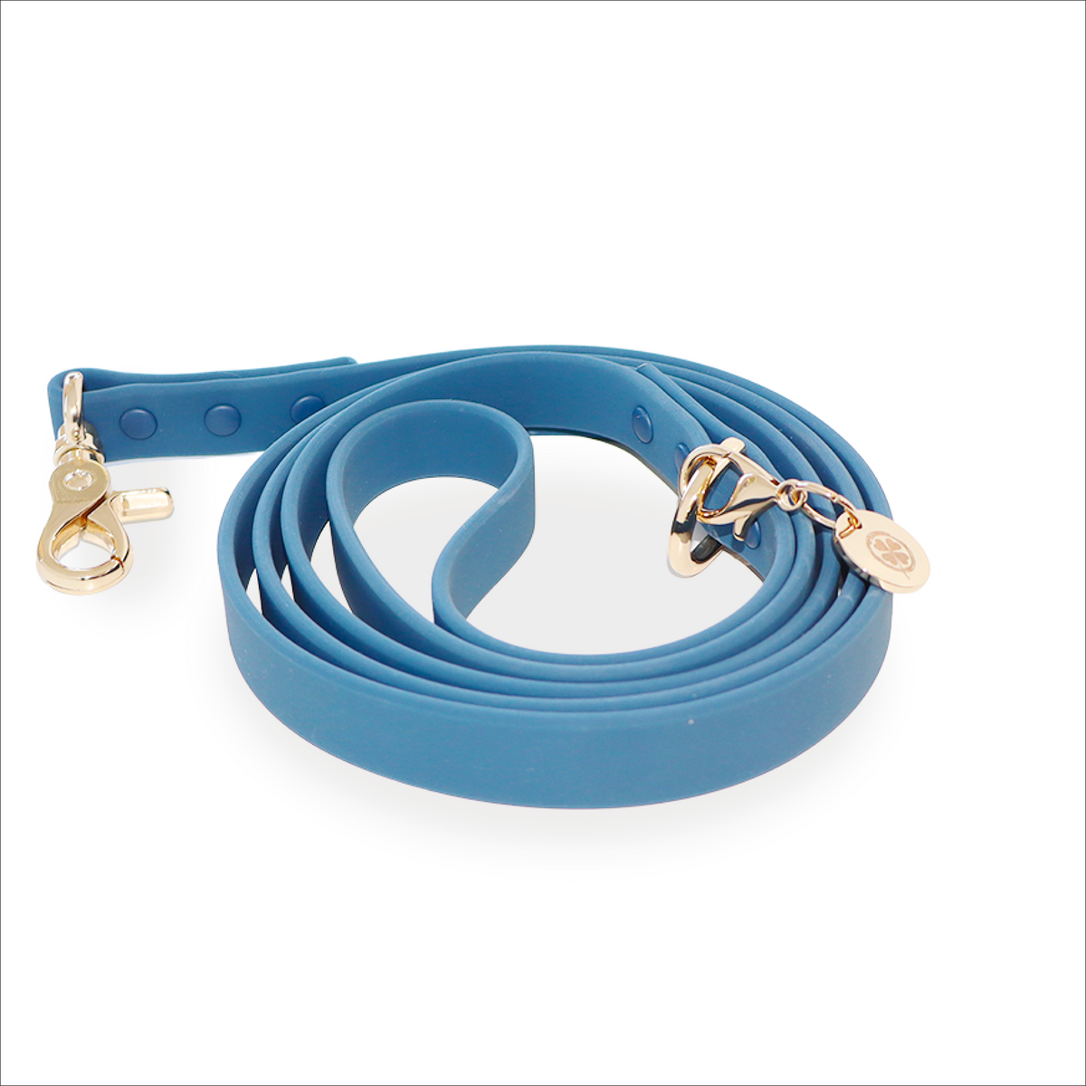 The Dockside Lead | Navy