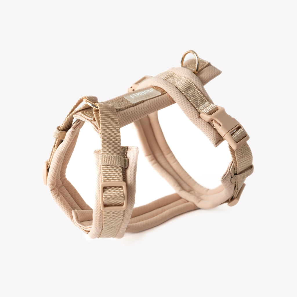 The Shoreline Harness · Dune