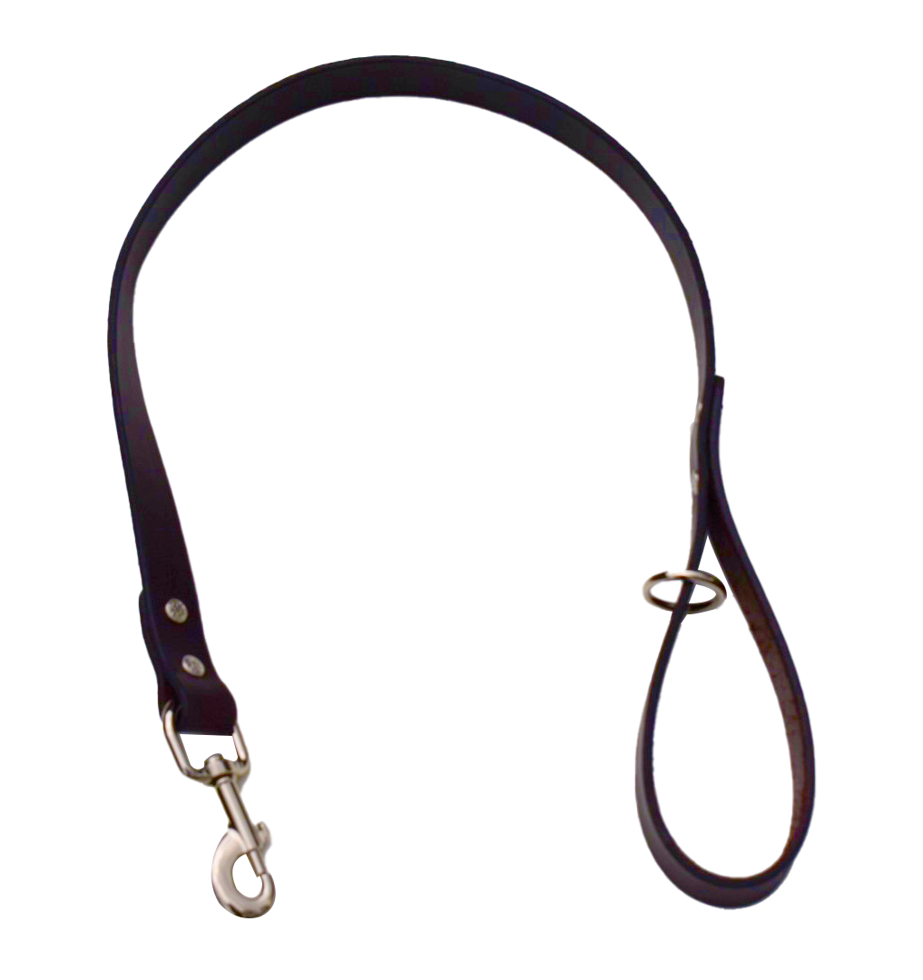 The Bridle Leather Lead