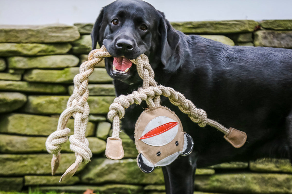 The Rope Toy Trio