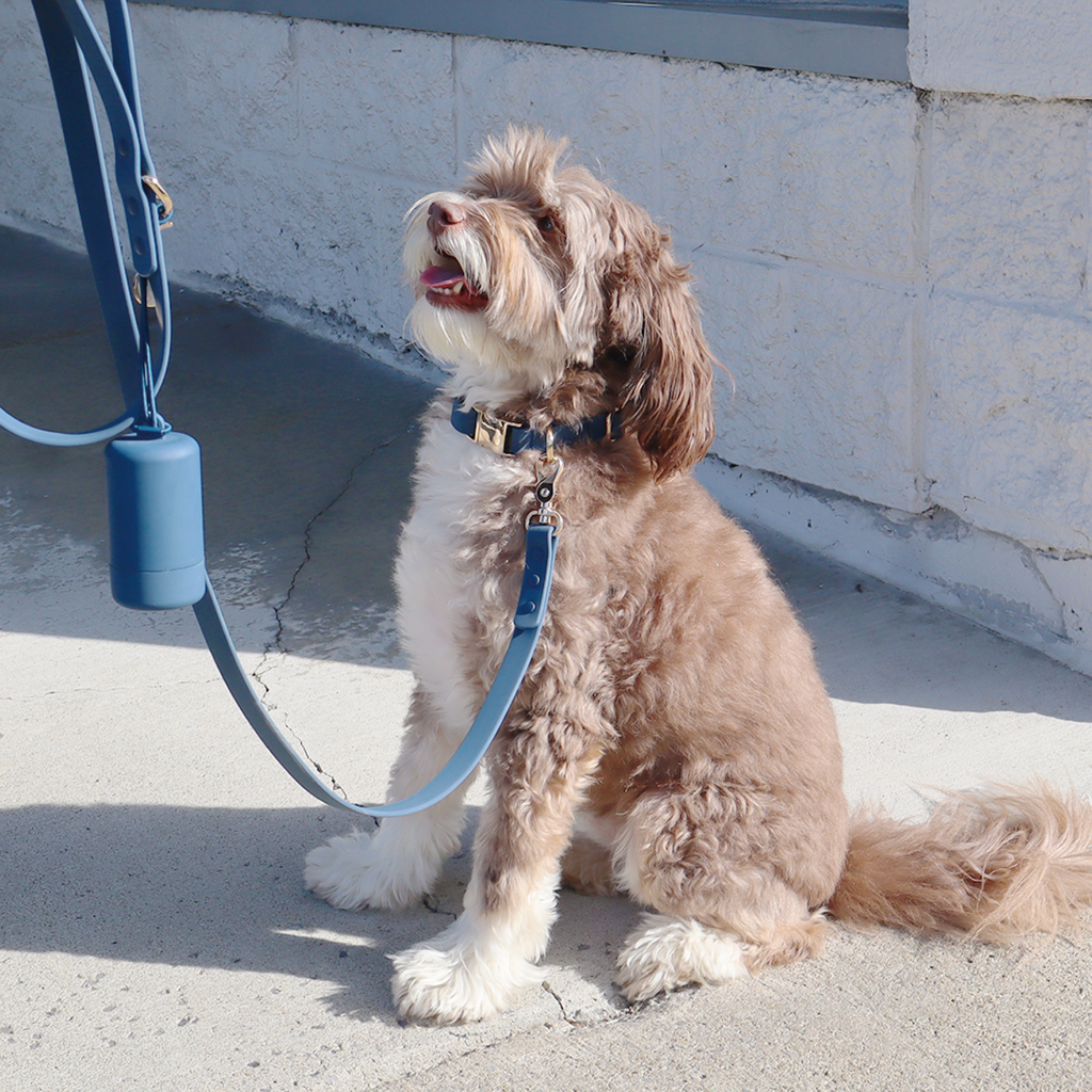 The Dockside Lead | Navy