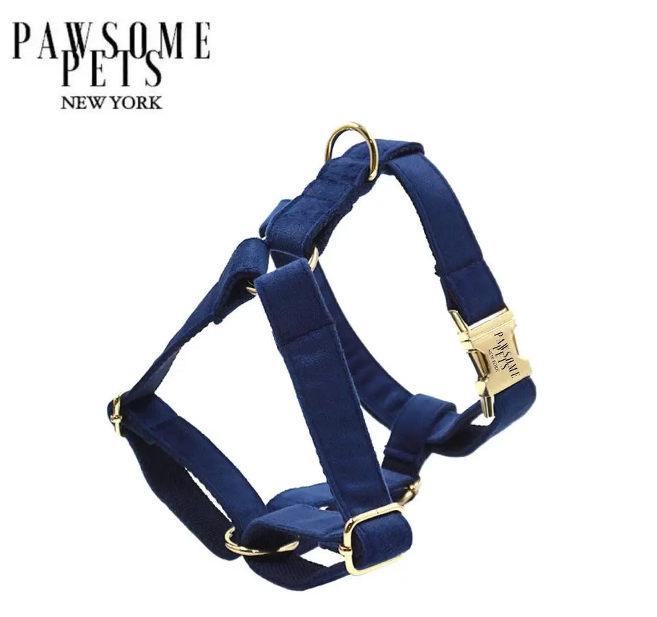 Navy blue step-in dog harness concept for Sails & Tails