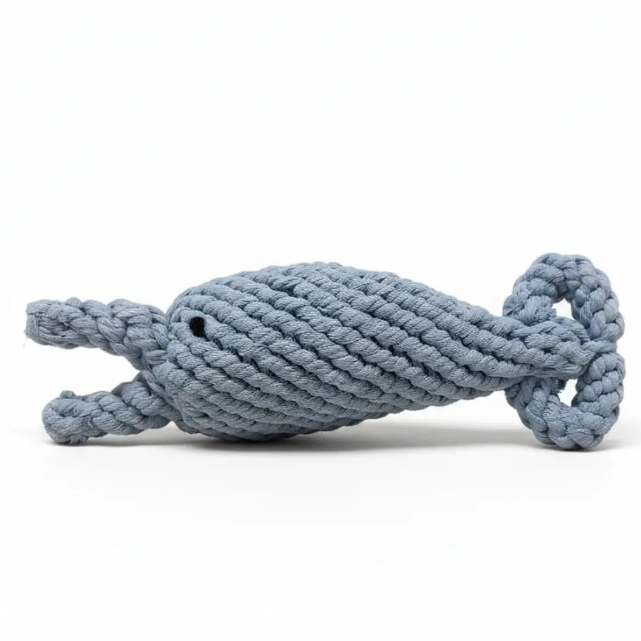 Dolphin-shaped dog toy concept for coastal companions