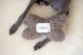 Sand Wool Bone — supplier catalogue image; props not included