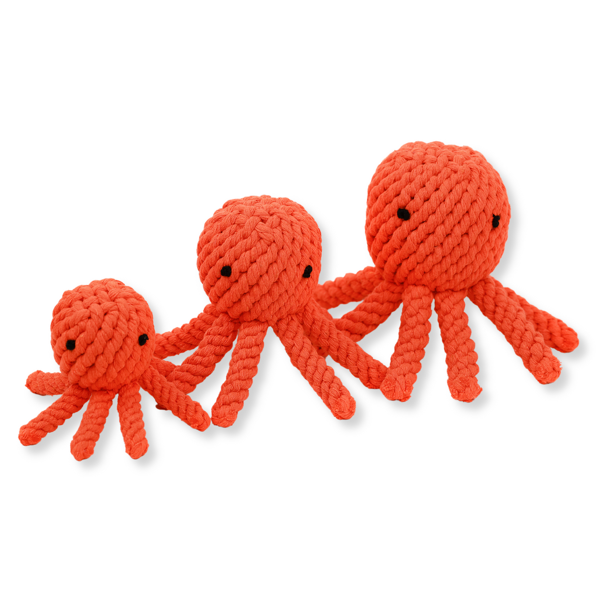 Ollie Rope Octopus — supplier catalogue image; props not included