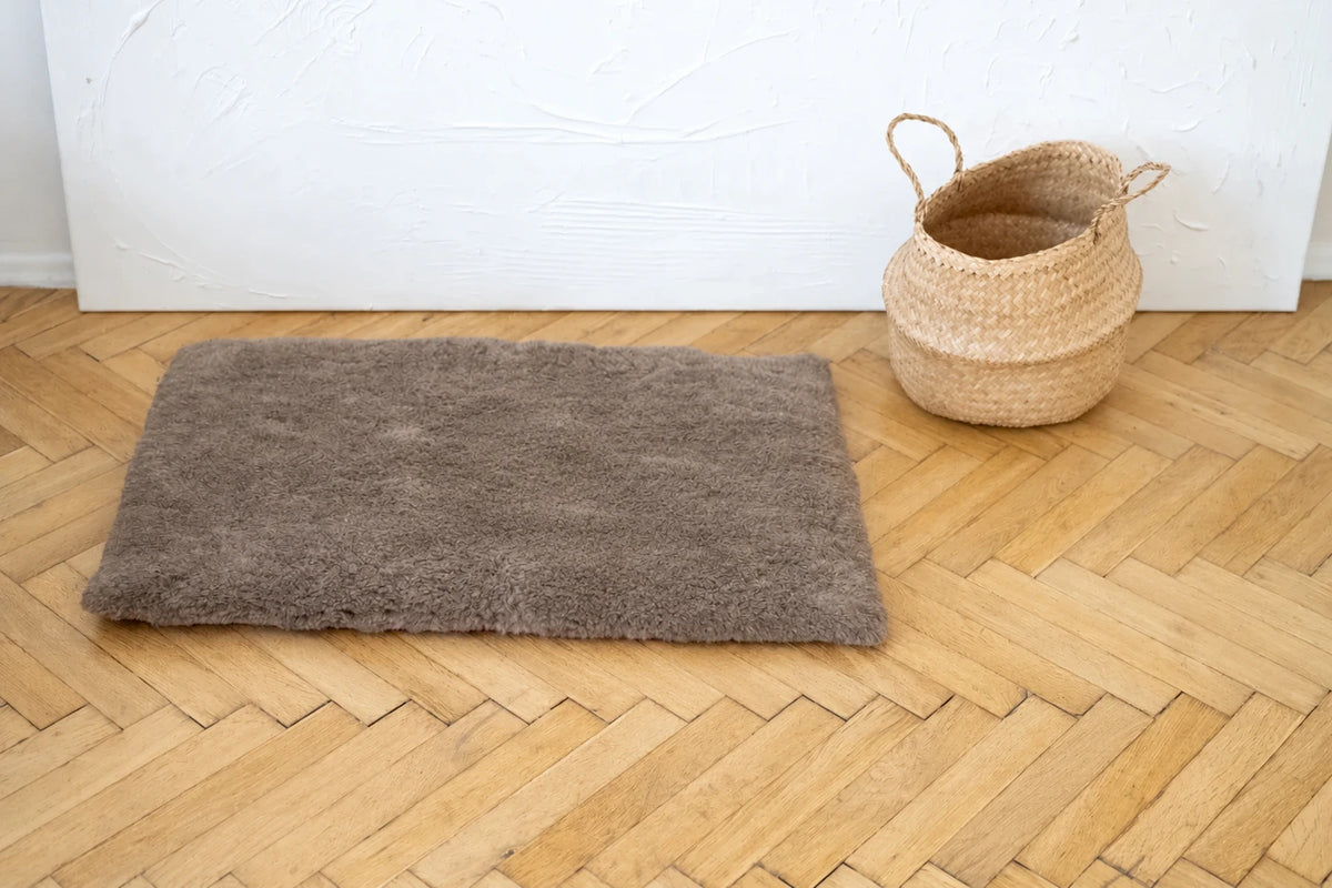 AI-edited supplier photo: dog removed; mat presentation concept